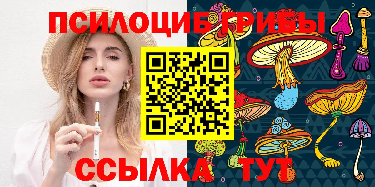 Псилоцибиновые грибы прущие грибы Алексин