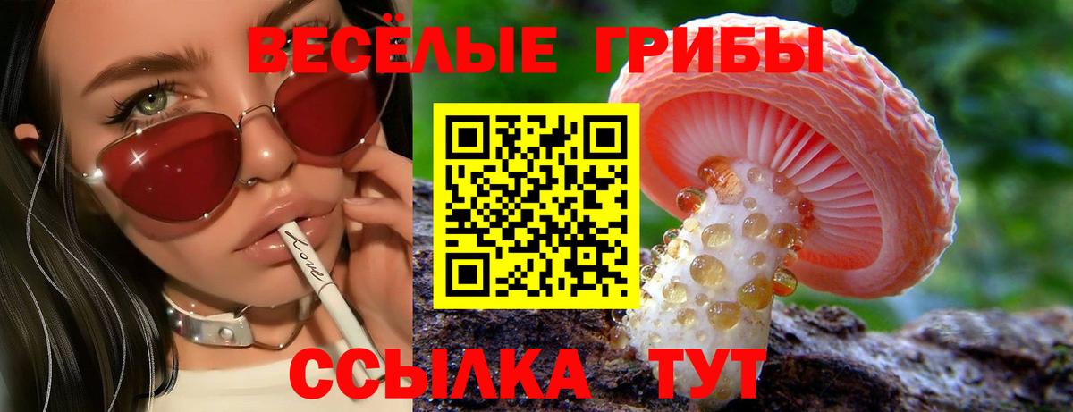 Псилоцибиновые грибы GOLDEN TEACHER  Вход с VPN  Алексин  Галлюциногенные грибы Cubensis 